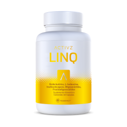 LINQ