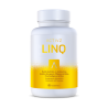 LINQ