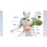 Transfer Factor Plus